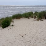 20180612_105228
