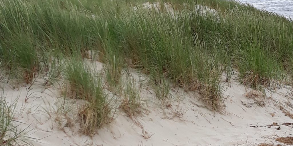 20180612_105235
